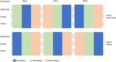 Soil bacterial community response to cover crop introduction in a wheat-based dryland cropping system
